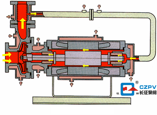 熱水循環(huán)泵工作原理動圖